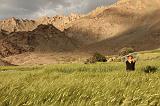 Ladakh - 069